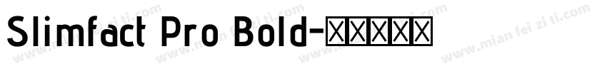 Slimfact Pro Bold字体转换